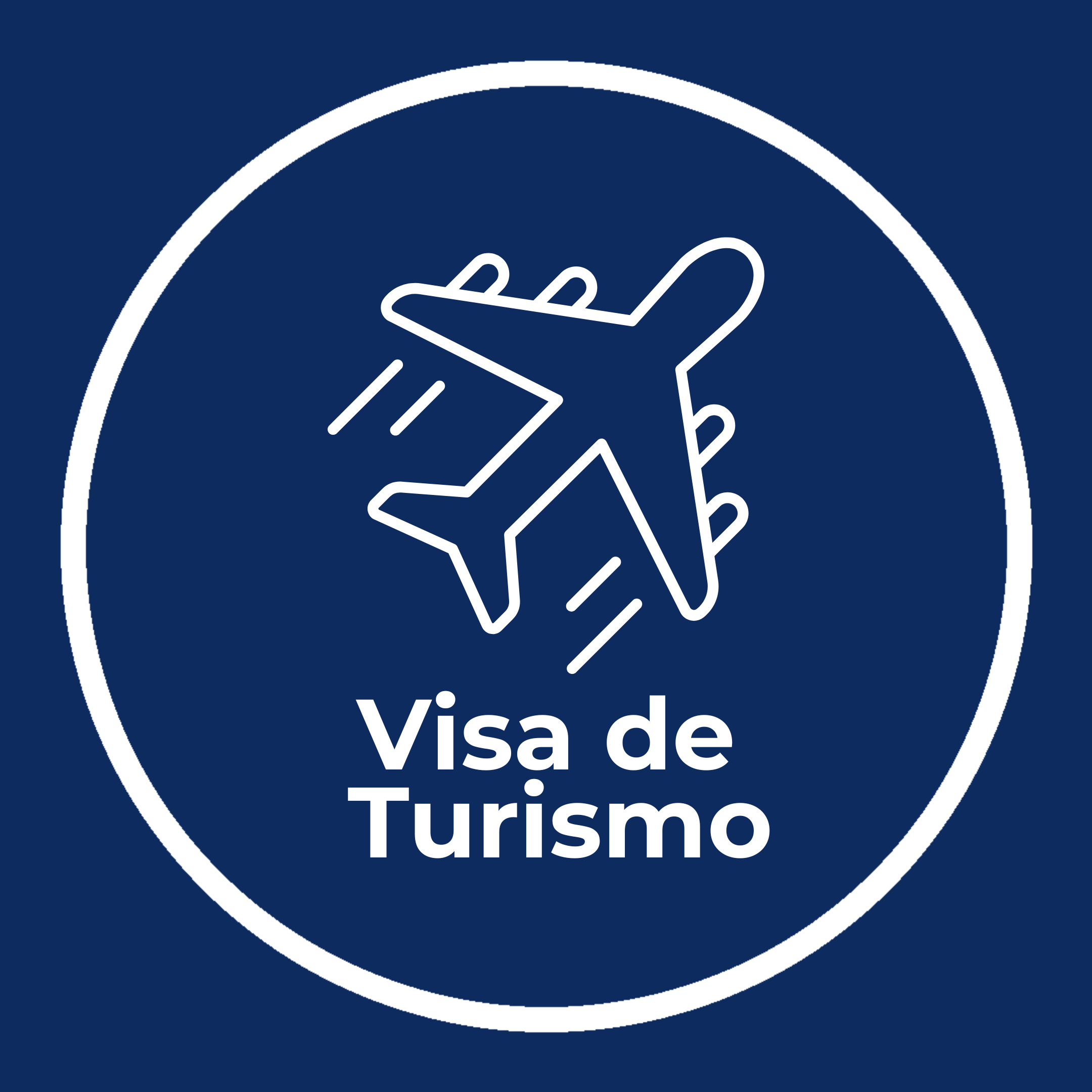Visa B1 / B2